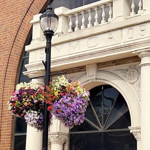 Meet your Posher, Darby